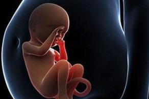 赴泰国试管婴儿的都有哪些条件？