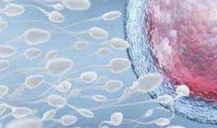 上海做三代试管大概多少钱？2026上海三代试管私立医院排名参考！