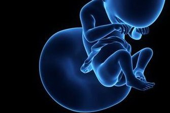 昆明地区有哪些私立的机构可以做试管技术？龙井茶的功效作用和营养价值